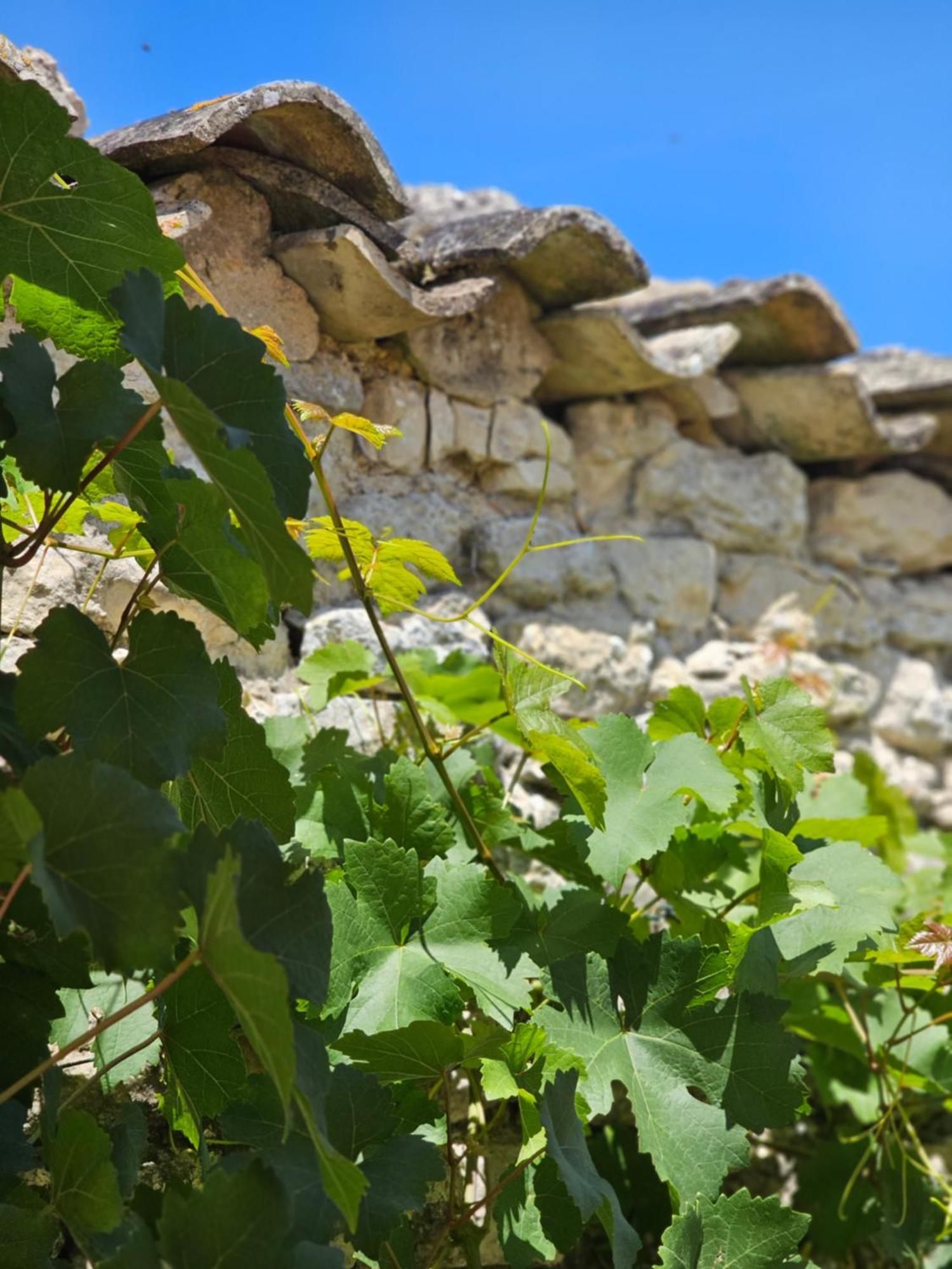 Domaine Slow-Life Thaire Exterior photo